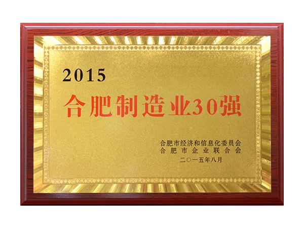 郃(he)肥製(zhi)造(zao)業30強